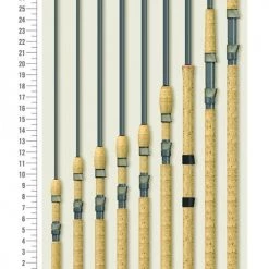 Budget ⌛ St Croix Avid Series Spinning Rods 👍 -Cheap Rods Store image 187