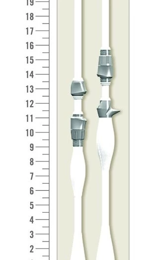 Best deal ✨ St Croix LegendXtreme Inshore Spinning Rods 🛒 8 Best deal ✨ St Croix LegendXtreme Inshore Spinning Rods 🛒 - Image 6