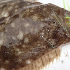 Wholesale ⌛ Tsunami Slimwave Casting Rods 🎁 -Cheap Rods Store image 468