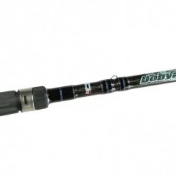 Hot Sale ❤️ Dobyns Sierra Casting Rods 😉 -Cheap Rods Store image 487