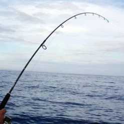 Cheap Rods Store -Cheap Rods Store image 655