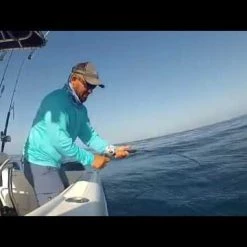 Cheap Rods Store -Cheap Rods Store image 666