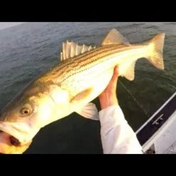 Coupon 😀 Tsunami Trophy Slow Pitch Jigging Casting Rods 🔥 -Cheap Rods Store image 667